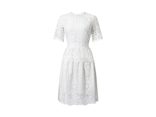 Short sleeve lace dress from James Lakeland