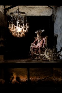 Lucern Ferre, Alex Randall lights, photographs Claire Rosen