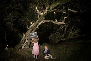 Beware of squirrels, Alex Randall lights, photographs Claire Rosen