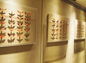 Butterflies, South Place Hotel
