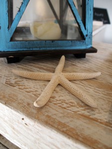 Starfish, The Gallivant, Rye