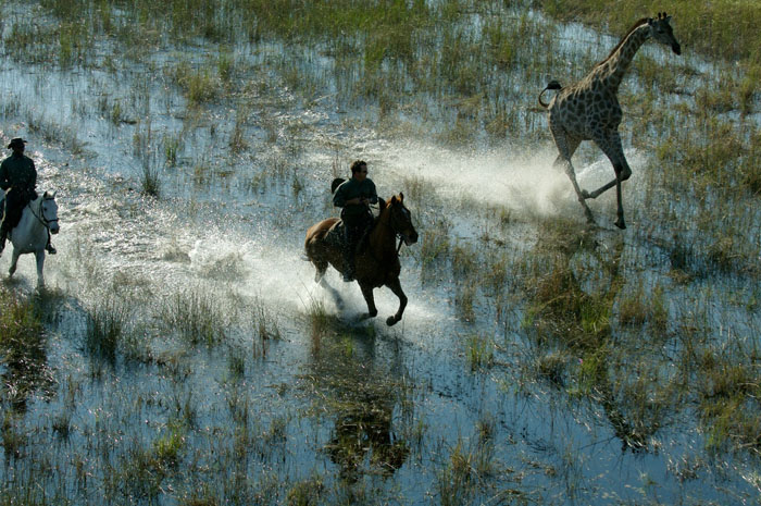 A real adventure – safari on horseback