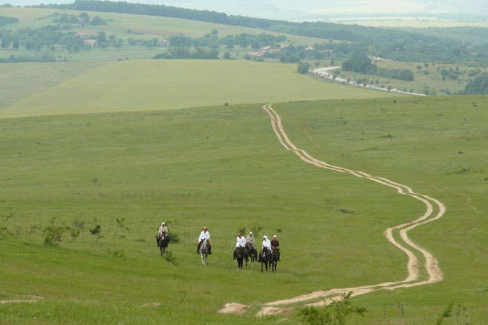 Explore the Balkans on horseback